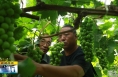 《直通县市》合阳：强化党建引领 让基层治理有温度高效能（一）乡里乡亲共同富裕 绘就乡村振兴一张图