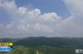 《直通县市》澄城：青山绿意浓 绘就新画卷