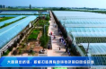 大荔县埝桥镇：积极打造具有地域特色的田园综合体