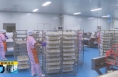 《直通县市》潼关：助企纾困解难题 推动经济稳增长