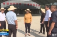 《直通县市》于娟侠深入双桥河流域调研指导潼关县生态环境保护工作