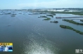 《直通县市》大荔：全面落实河湖长制   打造“水清岸绿”好生态