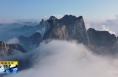 《直通縣市》華山：云海升騰 霧靄映秀