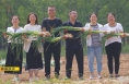 《直通县市》大荔：丰收节里的“中国梦”