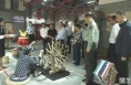 《直通县市》富平县举行推进乡村振兴和人居环境提升专题调研督导活动