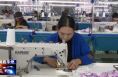 渭南市华州区杏林镇：小小玩具为乡村振兴注入新活力