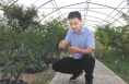 三上太空，韩城花椒今何如？