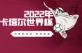 收藏！卡塔尔世界杯观赛指南来了！