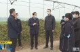 《直通县市》由建新调研大荔县疫情防控和冬季农业管护等工作开展情况