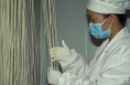 《今朝看华州》渭南市华州区：手工挂面促增收 打通群众致富路