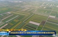 《直通县市》合阳县渭北高效节水灌溉示范区土地综合整治项目签约