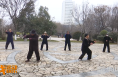 坚持习练太极拳 打出健康快乐来