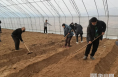 奋进的春天｜韩城市金城街道：春耕备耕忙 不负好春光
