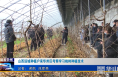 《今朝看华州》山西运城种植户来华州区考察学习桃树种植技术