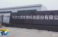 《直通县市》韩城：科技创新赋能小花椒籽 农业现代化促进“强县域”