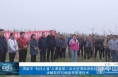 渭南市 “科技之春”云课堂第二讲走进渭南高新区大寨村  讲解软籽石榴春季管理技术