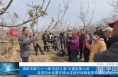 渭南市第三十一届“科技之春”云课堂第六讲  走进白水县雷牙镇大洼底村讲解春季苹果园管理技术