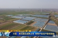 《直通县市》大荔：高石脆瓜成熟上市 特色产业丰产助农增收
