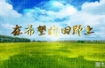 《振兴乡村 美好临渭》临渭区官道镇南家村：“春韭”飘香收割忙 产业振兴助增收