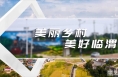 临渭区扎实开展农村人居环境“五边四荒”专项整治行动