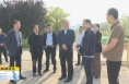 《直通县市》薛斌调研督导蒲城县大气污染治理工作