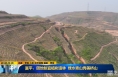 《直通县市》富平：因地制宜植树造林 绿水青山秀美桥山