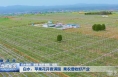 白水：苹果花开香满园 果农增收好产业