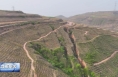 富平：因地制宜植树造林 绿水青山秀美桥山