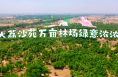 大荔沙苑万亩林场绿意浓浓