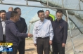 《直通县市》张旭调研澄城县乡村振兴 农业生产等工作