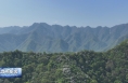 ​秦岭潼关段：层叠起伏翠屏障 漫山遍野添新绿