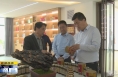 《直通县市》张毅锋调研蒲城县农业农村工作