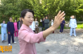 弘扬传统武术文化   感受太极养生之道