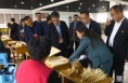 临渭区人大视察全区公共文化服务工作