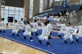 热烈祝贺蒲城县老年大学太极拳代表队喜获佳绩