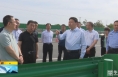 《直通县市》高成文督导检查城区环境卫生整治和大气污染防治工作