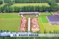 《瞰渭南》大荔：夏花灿烂开 田园风光美