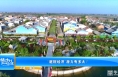 《振兴乡村 美好临渭》“庭院经济”潜力有多大？
