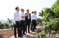 《直通县市》亢振峰带队赴渝贵地区围绕花椒产业开展招商对接活动