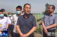 《今朝看华州》渭南市华州区人大常委会视察调研二华干沟治理工作