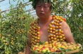 大荔外卖小哥转行带货农产 独特“走秀”收获20万粉丝