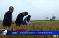 临渭区：多措并举备战阴雨天气 保障夏粮丰产丰收
