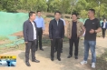 《直通县市》左俊调研潼关县重点项目建设工作