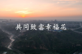 陕西合阳：共同致富幸福花