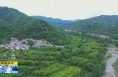 《直通县市》韩城：千年古核桃树 有“颜”有“质”美乡村
