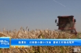 《振兴乡村 美好临渭》临渭区：已收获小麦64万亩 夏收工作接近尾声