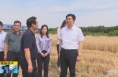 《直通县市》李扩督导检查白水县“三夏”工作