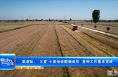 《振兴乡村 美好临渭》临渭区：“三夏”小麦抢收圆满收官  夏种工作基本完成