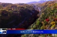 临渭区全区林木覆盖率33.2%