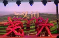陕西澄城尧头镇：【文化艺术节系列活动】庆祝中国共产党成立102周年暨尧头镇迎“七一”文化艺术节活动表彰大会圆满召开